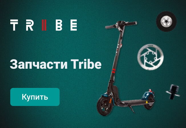 Tribe